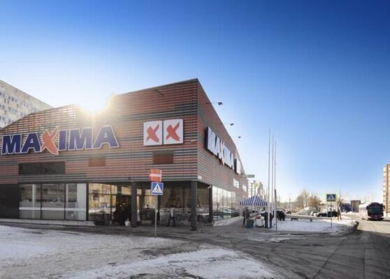 Soldina Maxima